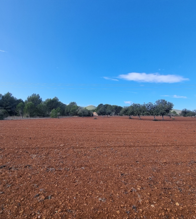 Resa Estates plots santa Gertrudis Ibiza for sale te koop 1 .jpg